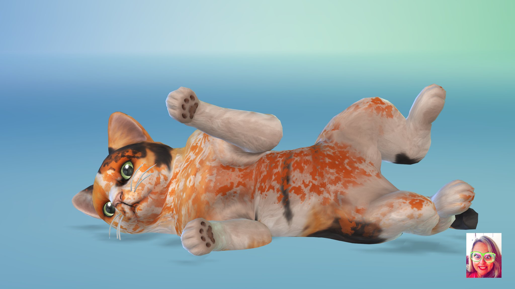 The Sims 4 Cats And Dogs Cc